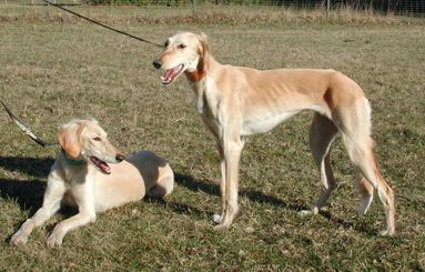 Eni u. Ehsaan mit 9 Monaten