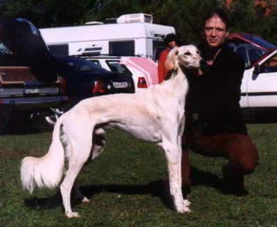 Salukirüde Shaikh 1 Jahr