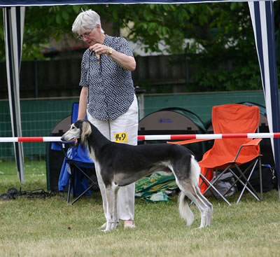 Salukirüde Vaju Hadid Al Firdous