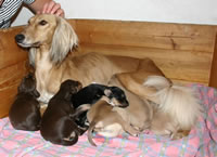 Belize mit Babys (31kb)