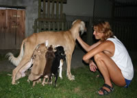 beim Trinken 5 Wochen alt (56kb)